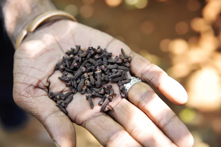 آیا روغن میخک به رشد مو کمک میکند؟