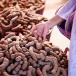 تمر هندی چه فوایدی برای سلامتی دارد؟