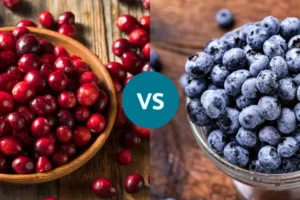 کرنبری یا بلوبری؛ کدام برای مجاری ادراری و آنتی‌اکسیدان بهتر است؟