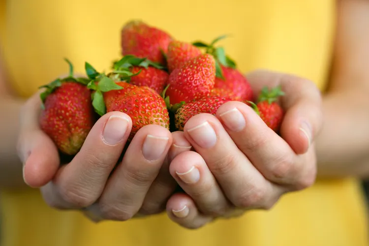 بهترین زمان خوردن توتفرنگی برای افزایش انرژی و بهبود گوارش