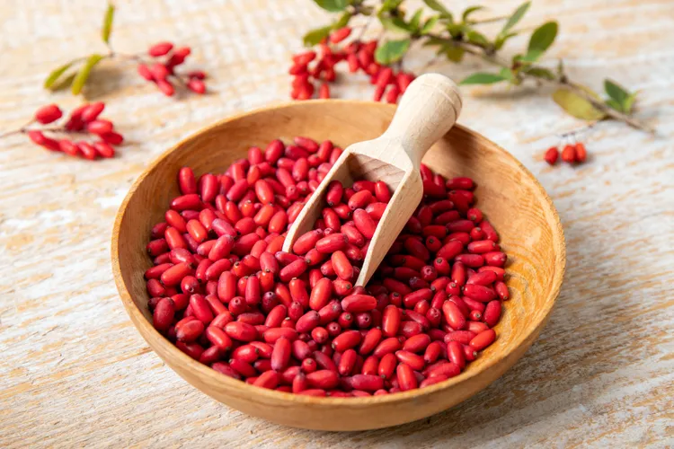 زرشک و بربرین؛ آیا قند و کلسترول را کاهش میدهند؟