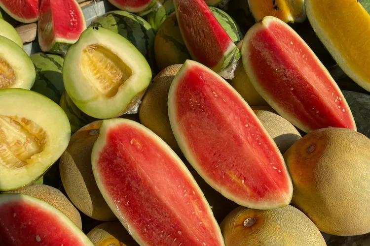 کدام نوع خربزه و ملون سالمتر است؟