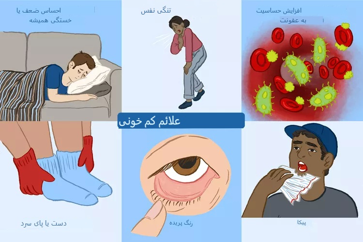 کمخونی و سرطان؛ کدام سرطانها میتوانند هموگلوبین را کاهش دهند؟