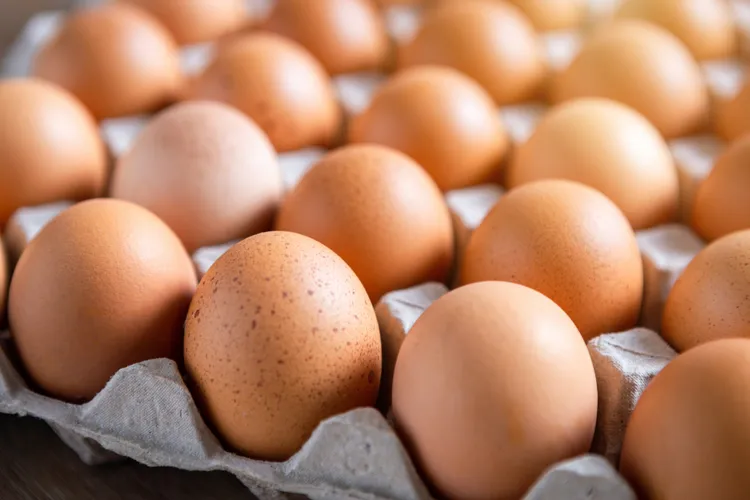 ۸ ماده غذایی گیاهی سرشار از پروتئین