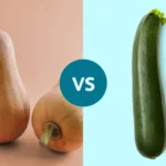 کدو سبز یا کدو حلوایی؛ کدام برای سلامتی بهتر است؟