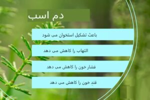 خواص گیاه دم‌اسبی برای سلامتی؛ شواهد علمی، فواید و عوارض